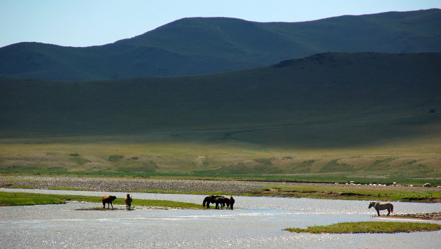 Mongolie zoals het is....