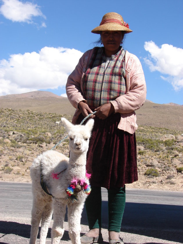Vrouw met Alpaca Lammetje