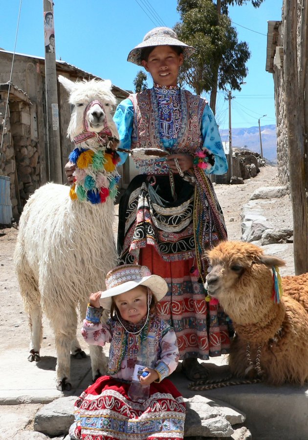 Moeders met dochter en hun alpaca's