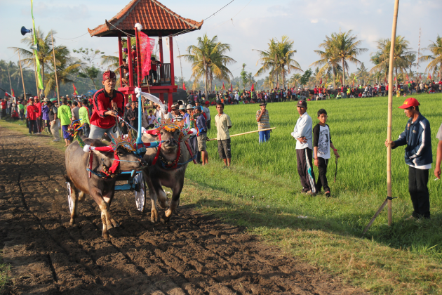 Intro foto Soerabaja