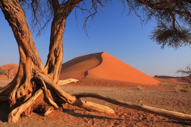 Intro foto Sossusvlei