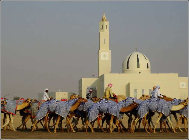 Intro foto Al Ain