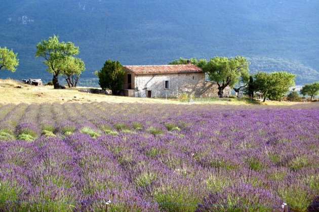 Provence, ook mooi