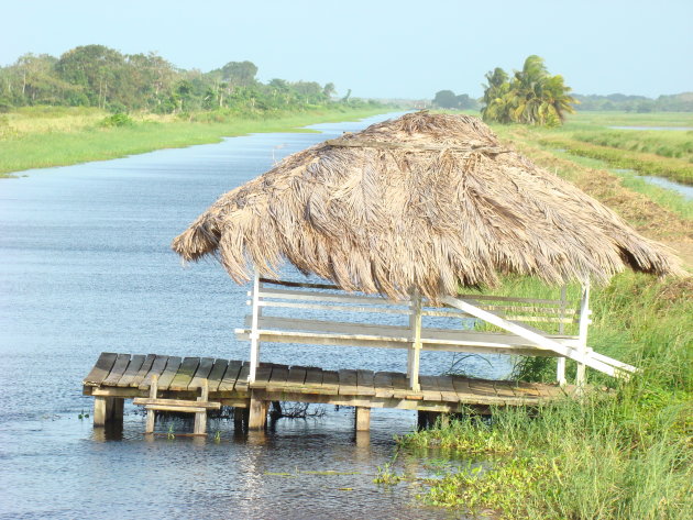 Riviertje in Nickerie