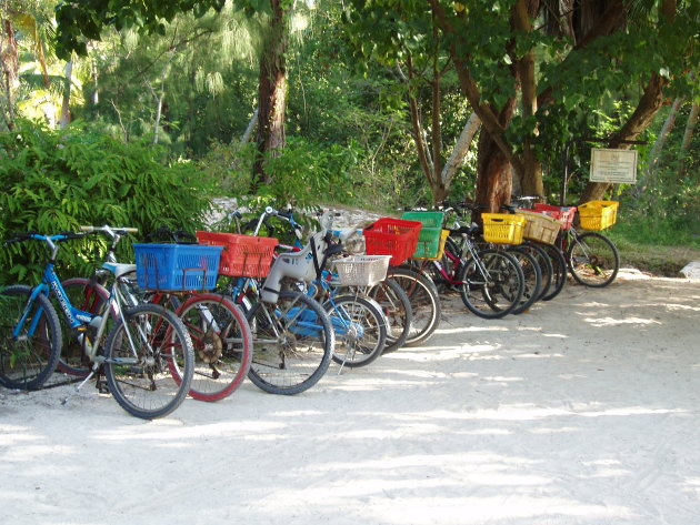 Geparkeerde fietsen