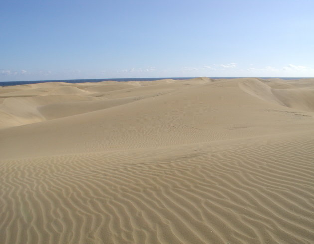 Zandduinen