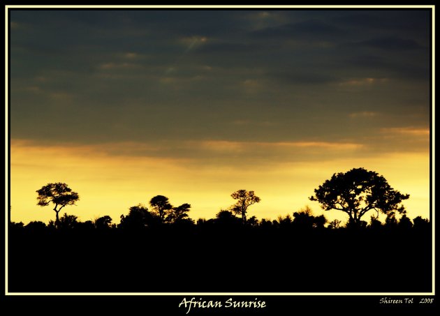 African Morning