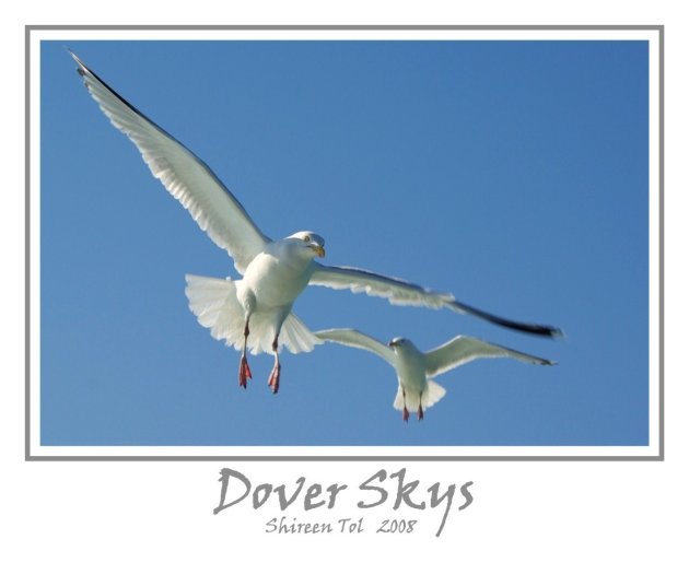 Dover Skys