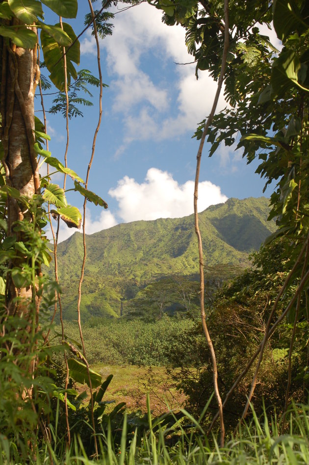 Kauai