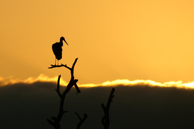 zonsondergang in Kruger NP