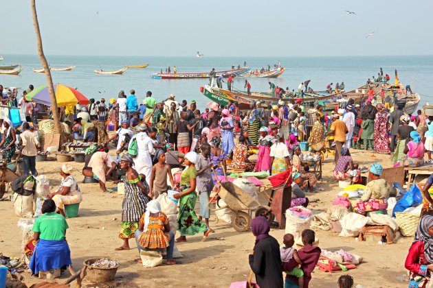 Vismarkt van Banjul bezoeken