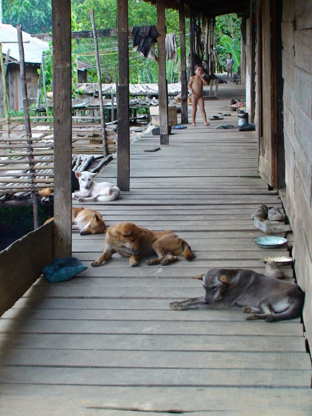 Dagelijks leven in het longhouse