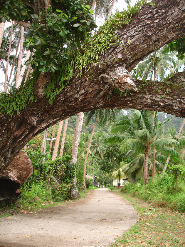 Kampong Juara