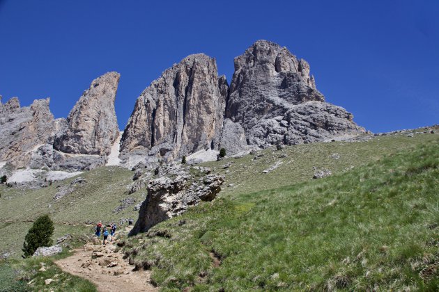 Col Rodella, Dolomieten