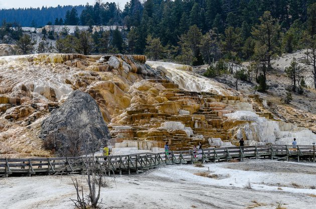 Mammoth Hot Springs