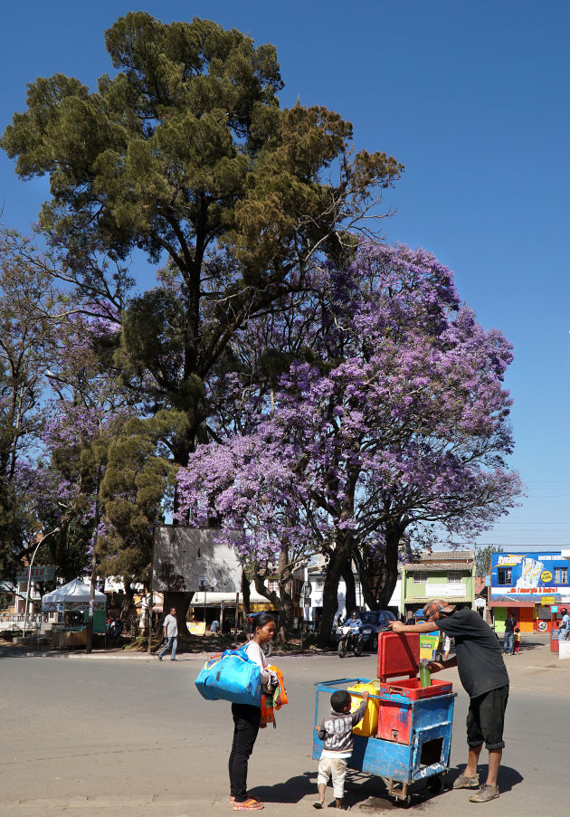 Fietsen in Antsirabe