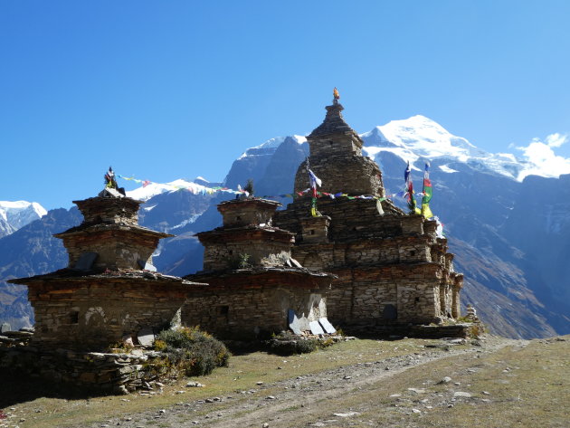 Stupas op het dak van de wereld