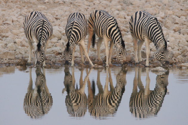 Vier op 'n rij, vier dorst