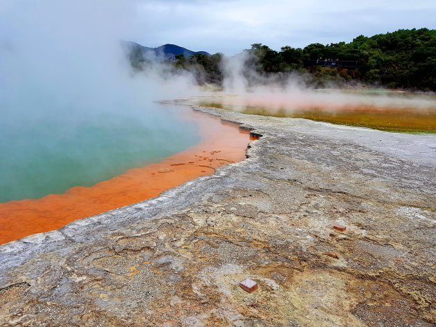 Champagne Pool in Wai-o-tapu