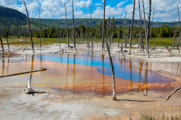 Opalescent Pool