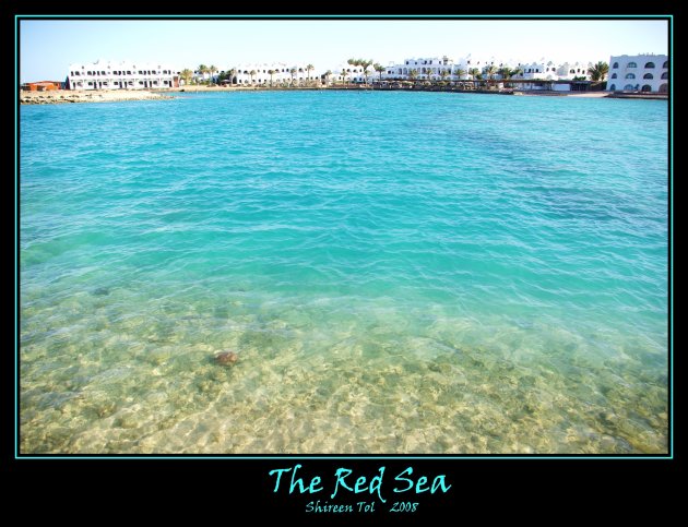 The Red Sea