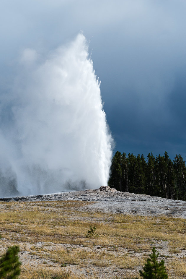 Old Faithful