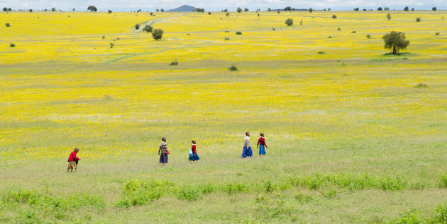 April in Tanzania