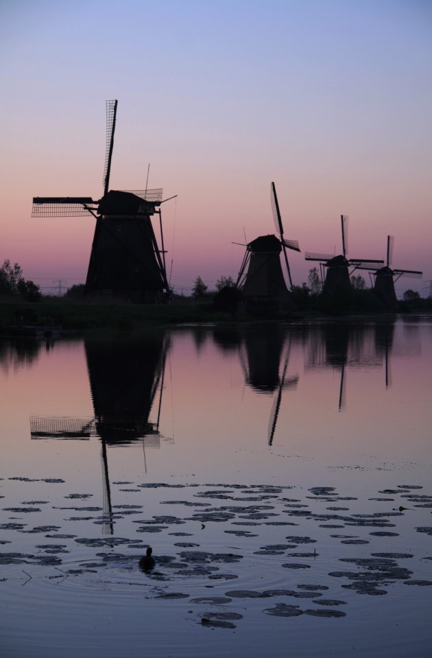 Kinderdijk bij zonsopkomst