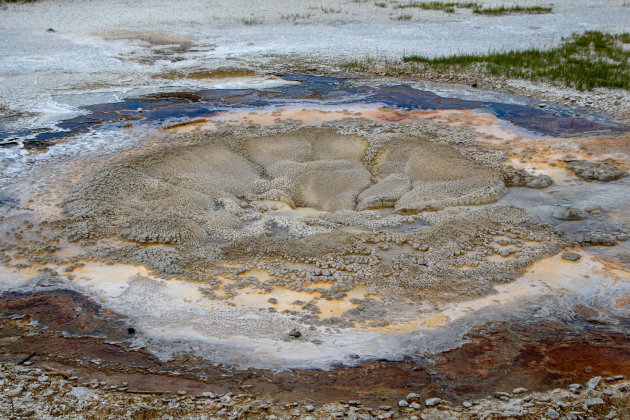 Anemone Geyser