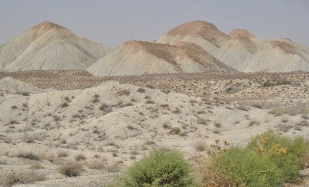 bizarre landschappen