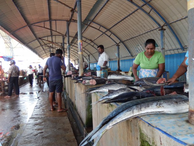 Vismarkt Negombo