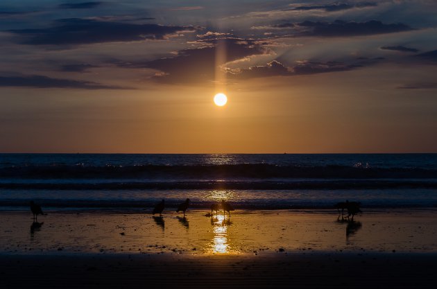 Playa Matapalo