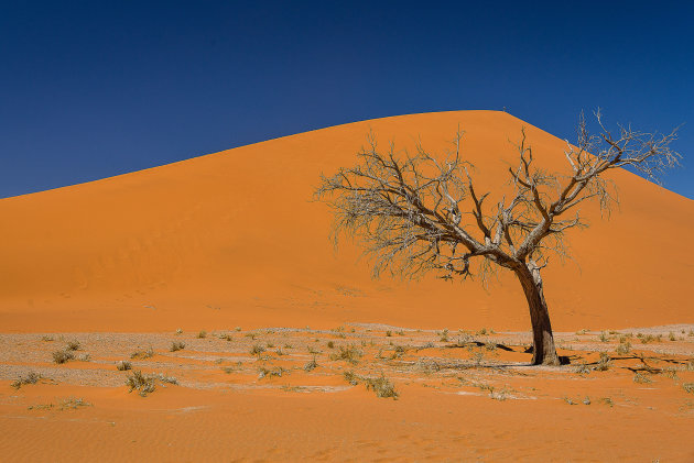 De weg naar Sossusvlei