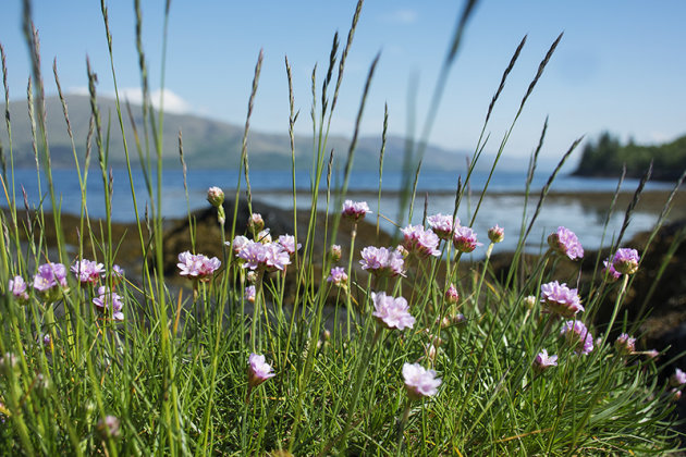 The Bonnie Banks o' Loch Lomond