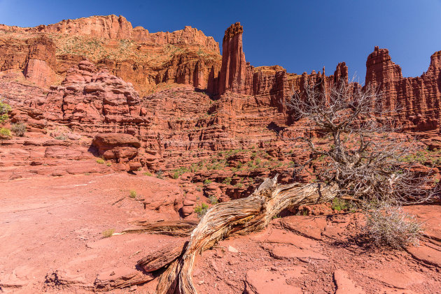 Fisher Towers