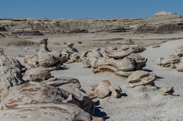 Bisti Badlands