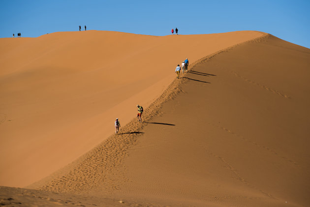 duin bij Deadvlei