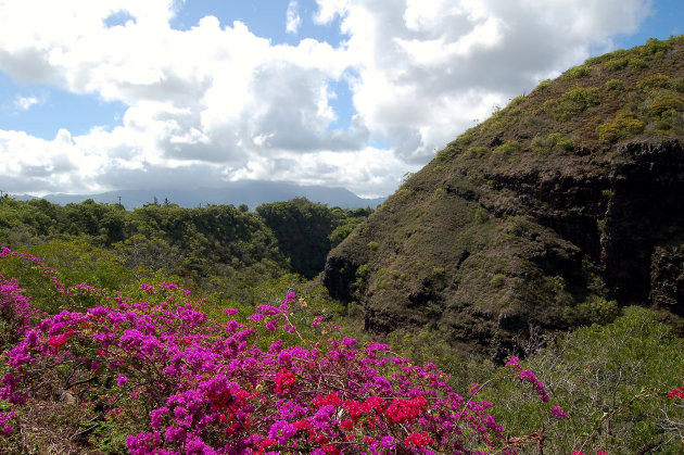 Kleurrijk Kauai