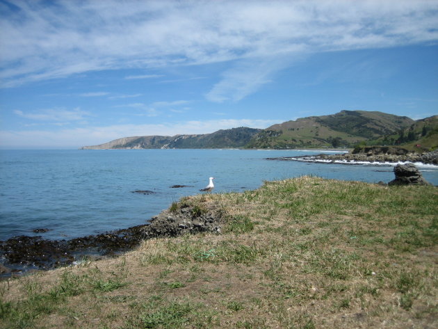 Onderweg tussen Hanmer Springs en Kaikoura