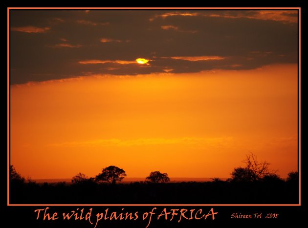 Wild plains of Africa