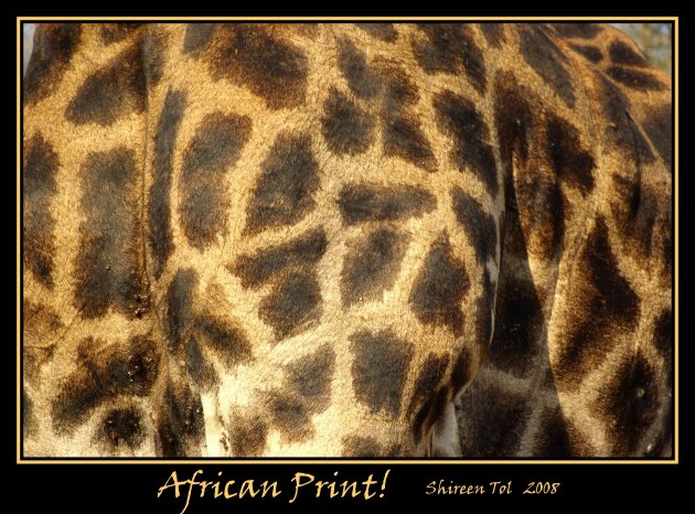 African Print!