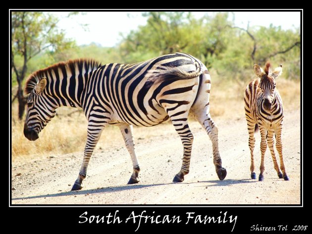 South African Family