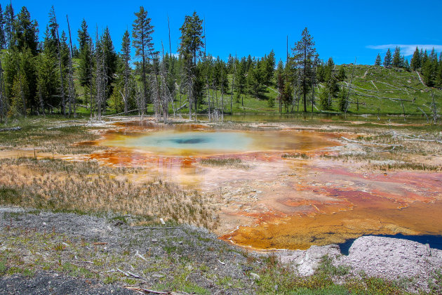 Kleurrijk Yellowstone