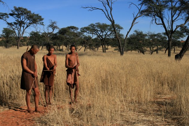 Bosjesmannen in de Kalahari