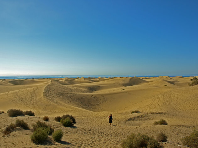 duinen van Maspalons