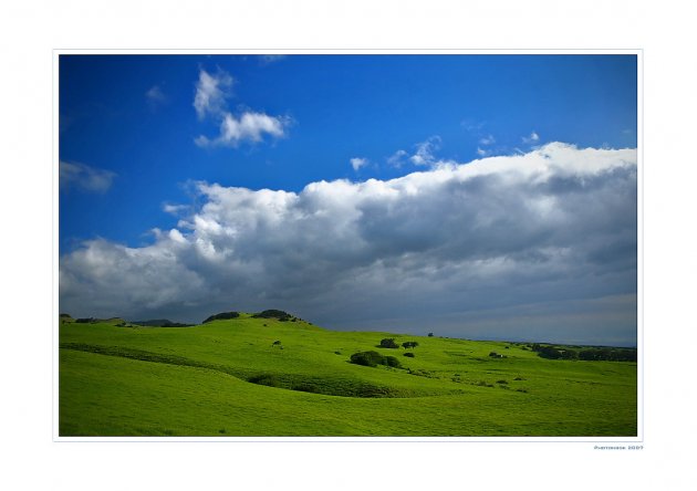 Green, Green Grass of Hawai'i