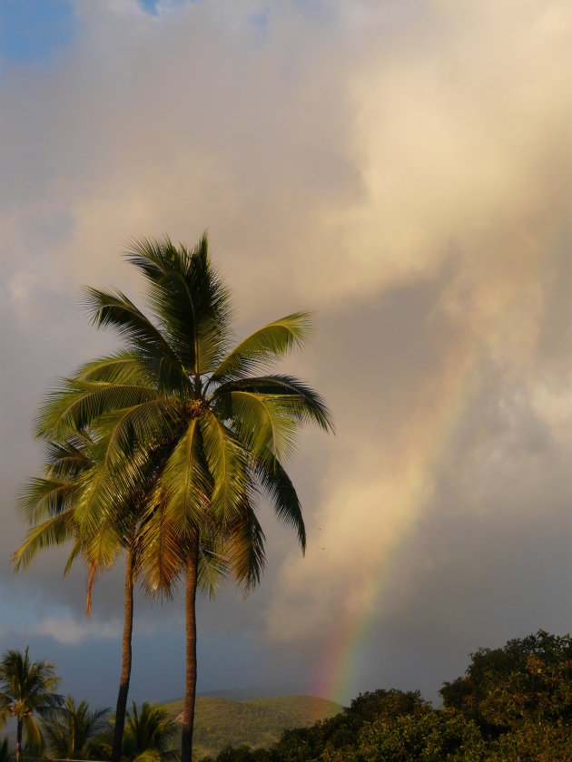 somewhere under the rainbow