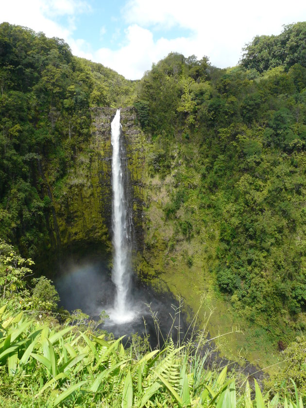 Akaka Falls