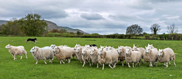 Move on in de Brecon Beacons