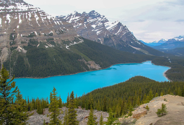 Peyto Lake